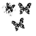 Butterfly Silhouettes