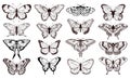 Butterfly silhouettes. Black outline butterflies tattoo graphic, tropical cute insects. Metamorphosis and spring symbols Royalty Free Stock Photo