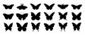 Butterfly silhouettes. Cute butterfly stencils summer insects with wings, flying butterflies. Winged exotic various moth Royalty Free Stock Photo