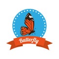 Butterfly silhouettes design Royalty Free Stock Photo