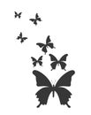 Butterfly silhouettes design Royalty Free Stock Photo