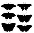 Butterfly silhouettes isolated birds insects