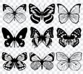 Butterfly silhouettes vector macro collection