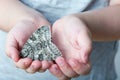 A butterfly of silkmoth in a child's hands - Lymantria dispar