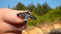 Butterfly sits on a girl hand. Blue, fragile butterfly wings on girl fingers create harmony of nature, beauty magic close-up. Macr Royalty Free Stock Photo