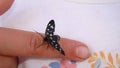 Butterfly sits on a man hand. Blue, fragile butterfly wings on man fingers create harmony of nature, beauty magic close-up. Macro.