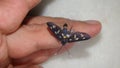 Butterfly sits on a man hand. Blue, fragile butterfly wings on man fingers create harmony of nature, beauty magic close-up. Macro.