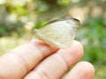 Butterfly sits on a man hand. white, fragile butterfly wings on man fingers create harmony of nature, beauty magic close-up. Macro