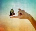 Butterfly sitting on the girl hand Royalty Free Stock Photo