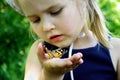 Butterfly sitting on the hand of a child. Child with a butterfly. Butterfly painted lady on the hand of a little girl. Selective f