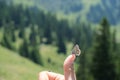 Butterfly on woman's thumb