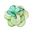 Butterfly on sliced cucumber isolated on white Royalty Free Stock Photo