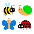 Butterfly, snail, lady bug ladybird bee bumblebee flying insect icon set. Ladybug. Side view. Cute cartoon kawaii funny baby