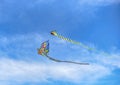 Butterfly and snake-shaped kites are floating in the sky. which are generally sold along the beach in Pattaya