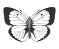 Butterfly stencil by hand drawing - vector