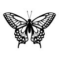 Butterfly stencil, butterfly silhouette, vector illustration