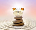 Butterfly and stones balance