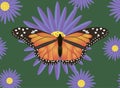 Butterfly on striped background, design vector illustration