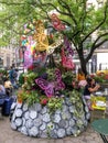 Butterfly Structure of Flowers at the Macy`s Flower Show New York City