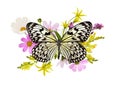 Butterfly and summer flowers in a beautiful arrangement isolated