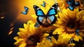Butterfly and sunflowers on a dark background with copy space Royalty Free Stock Photo