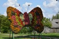 Butterfly symbol decoration made of many flowers in street