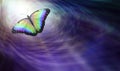 Butterfly Symbolising Spiritual Release Royalty Free Stock Photo
