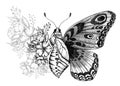 Butterfly tattoo design with flowers. Butterfly birth.