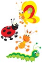Butterfly, termite, ladybug and caterpillar Royalty Free Stock Photo