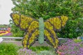 Butterfly topairy displayed at Epcot