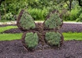 Butterfly topiary on display at the Fort Worth Botanic Garden, Texas.