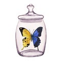 Butterfly in a transparent glass jar. Opposite halves. Hand-drawn watercolor illustration isolated on white background Royalty Free Stock Photo