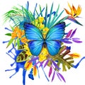 Butterfly, tropical leaves and exotic flower