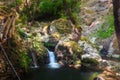 Butterfly Valley, a nature reserve. Rhodes Island. Greece Royalty Free Stock Photo