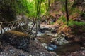 Butterfly Valley, a nature reserve. Rhodes Island. Greece Royalty Free Stock Photo