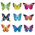 Butterfly Vector Cartoons Design Vector