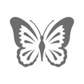 Butterfly vector icon Royalty Free Stock Photo