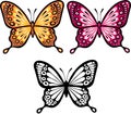 Butterfly Vector Illustration