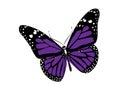 Butterfly vector illustration for design layouts