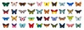 Butterfly vector illustration on white background . Isolated cartoon set icon decorative insect . Vector cartoon set Royalty Free Stock Photo