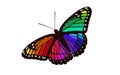 Rainbow colored Winged Monarch - Butterfly Vector Royalty Free Stock Photo