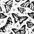 Butterfly Vector Pattern. Vintage seamless background. Black line art drawing of insect wings. Outline illustration of Royalty Free Stock Photo