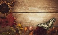 Butterfly on Vegetables on vintage wood background. flat lay composition, Autumn fall