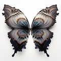 a butterfly with a very large wing and a very intricate pattern on it\'s wings, flying in the air, wi Royalty Free Stock Photo