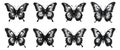 Butterfly vintage etching set. Retro drawing butterflies with open wings ancient sketch, etched moth animals black Royalty Free Stock Photo