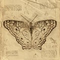 Butterfly in Vintage Steampunk Da Vinci Drawing Style Royalty Free Stock Photo