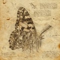 Butterfly in Vintage Steampunk Da Vinci Drawing Style