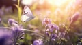 Butterfly on violet lavender flowers. Generative AI Royalty Free Stock Photo