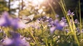 Butterfly on violet lavender flowers. Generative AI Royalty Free Stock Photo