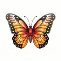 A butterfly wall art that will make a statement in any room